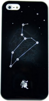 Чехол для iPhone 5 Turtle Brand Crystal Leo Чехол для iPhone 5 Turtle Brand Crystal Leo